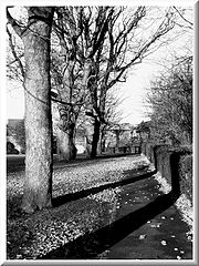 photo "alloa scotland"