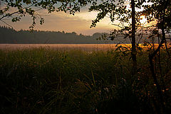 photo "The sacrament of morning"