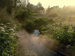 photo "About morning fog"