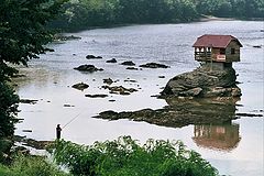 photo "Drina"