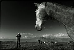 photo "***"