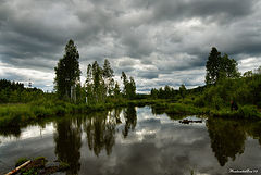 photo "Scheetovskoy istok, river"