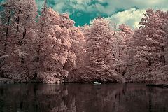 photo "***"