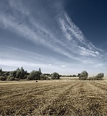 фото "Стерня"