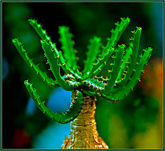 photo "water keeper"