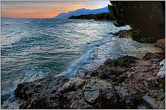 photo "Evening light"