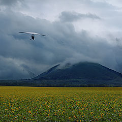 photo "Оn thunderstorm!"