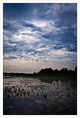 photo "***"