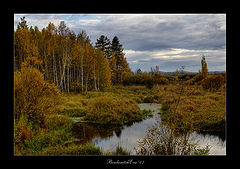 photo "Autumn 2"