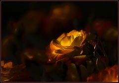 photo "...sunset of feelings..."