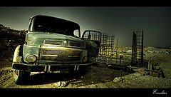 photo "The Veteran"