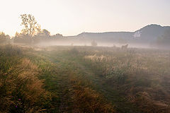 photo "***"