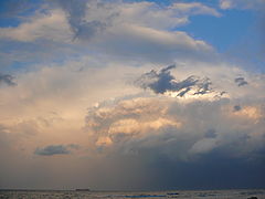photo "Lost"