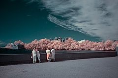 photo "***"
