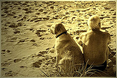 photo "***"