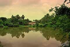 фото "POND"