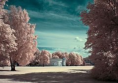 photo "***"