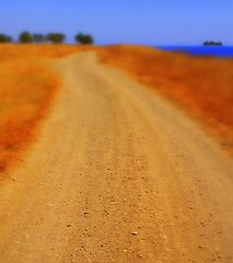 photo "Yellow brick road"