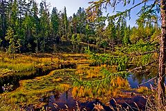 photo "На излете лета."