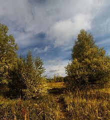 фото "С осенью всех.."