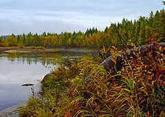 photo "Сырой день"