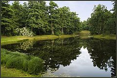 photo "Emptiness in the green world"