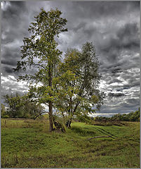 фото "Перед дождем..."