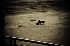 photo "Sand Rider"