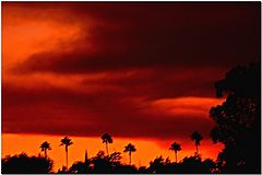 фото "Trouble In Paradise"