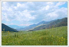 photo "Altay's fields"