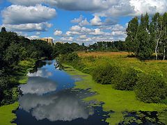 photo "First September"