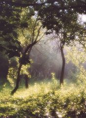 photo "***"