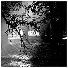 photo "***"