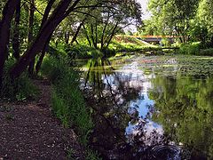 photo "Somewhere in the summer"