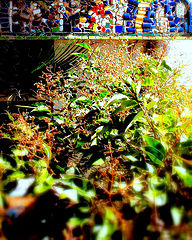 photo "Modernisme"