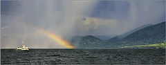 photo "Towards to the sun"