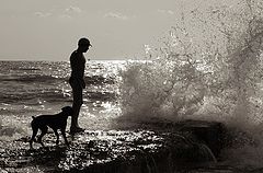 photo "making friends"