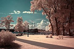 photo "***"