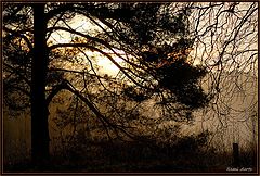 фото "sundown"