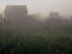 photo "mist morning"