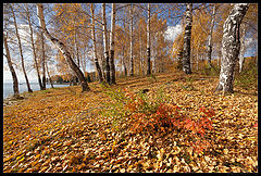 photo "Fall / 0189_0181"