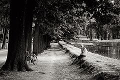 photo "Pensiveness..."