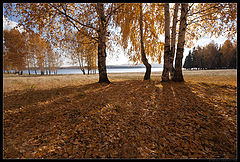 photo "Autumn / 0189_0183"