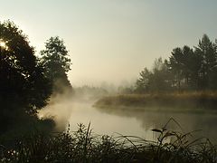 photo "***"