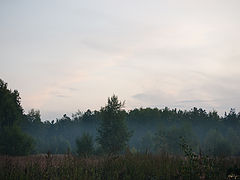 фото "Солнце только село"