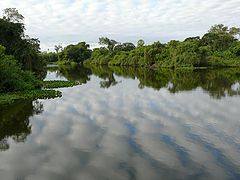 фото "Mirror"