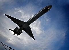 фото "Iron Bird"