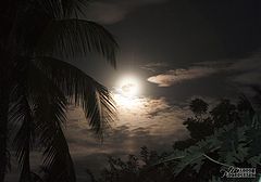 photo "FULL MOON"