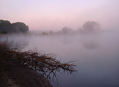 photo "... foggy morning in September ..."