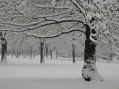 фото "winter landscape_01"